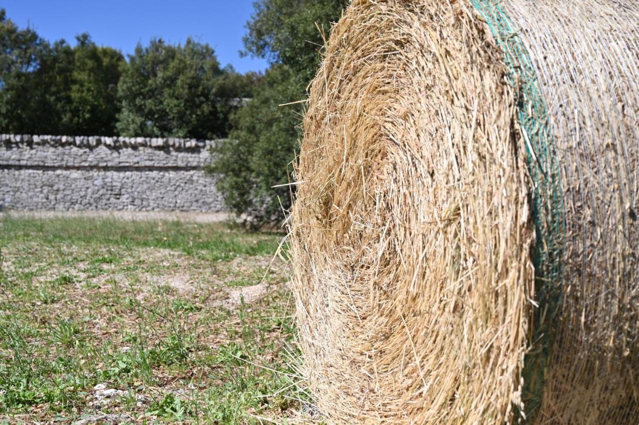 Agriturismo Iazzo Scagno Martina Franca Exterior foto